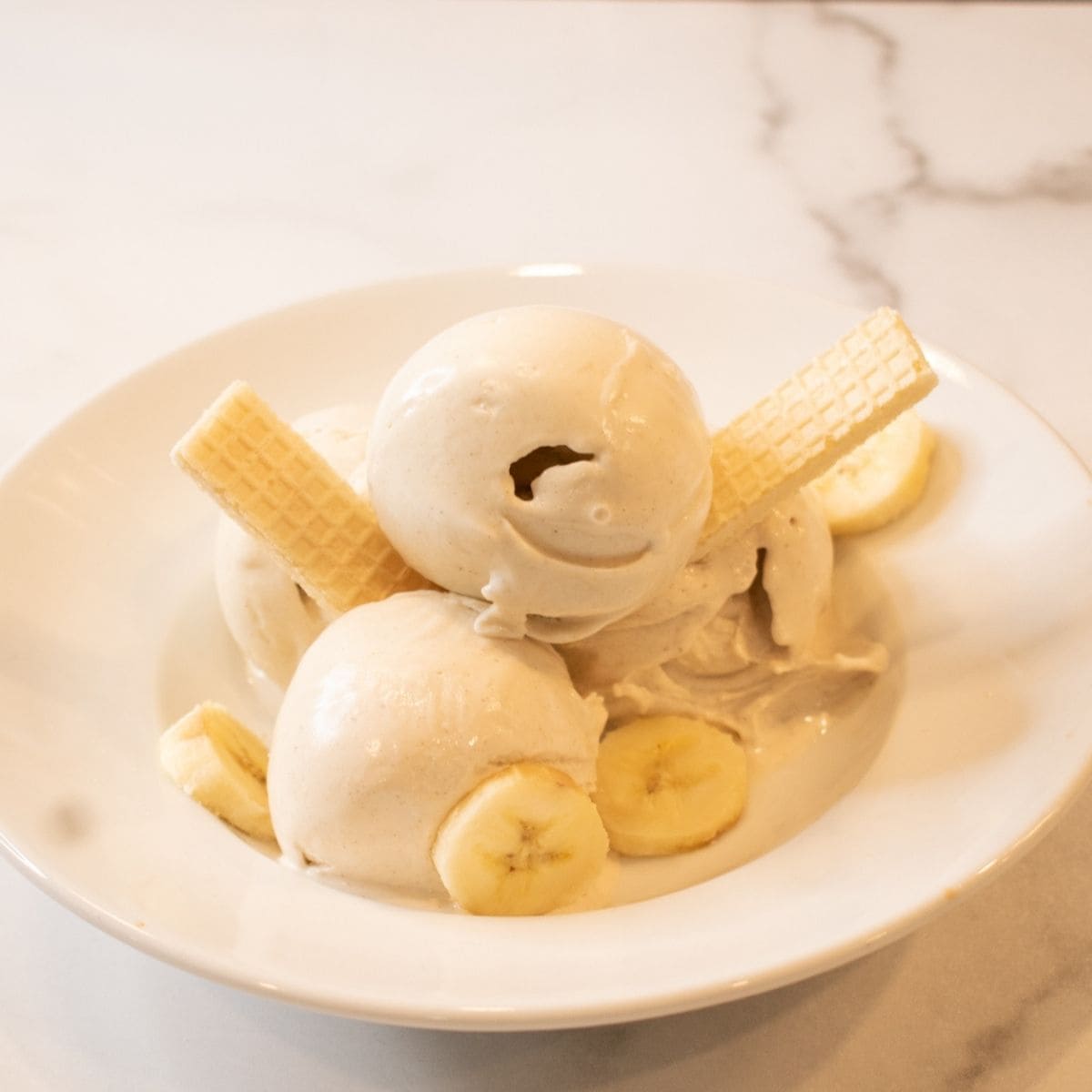 Ninja Creami Banana Pudding Ice Cream