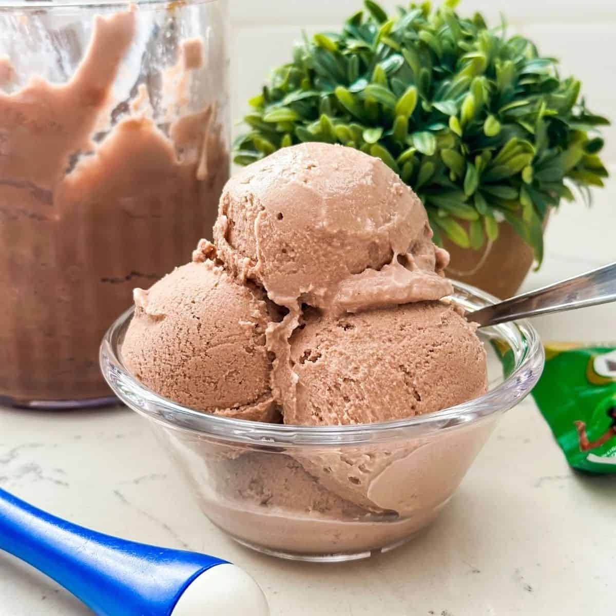 Ninja Creami MILO Chocolate Malt Ice Cream Recipe