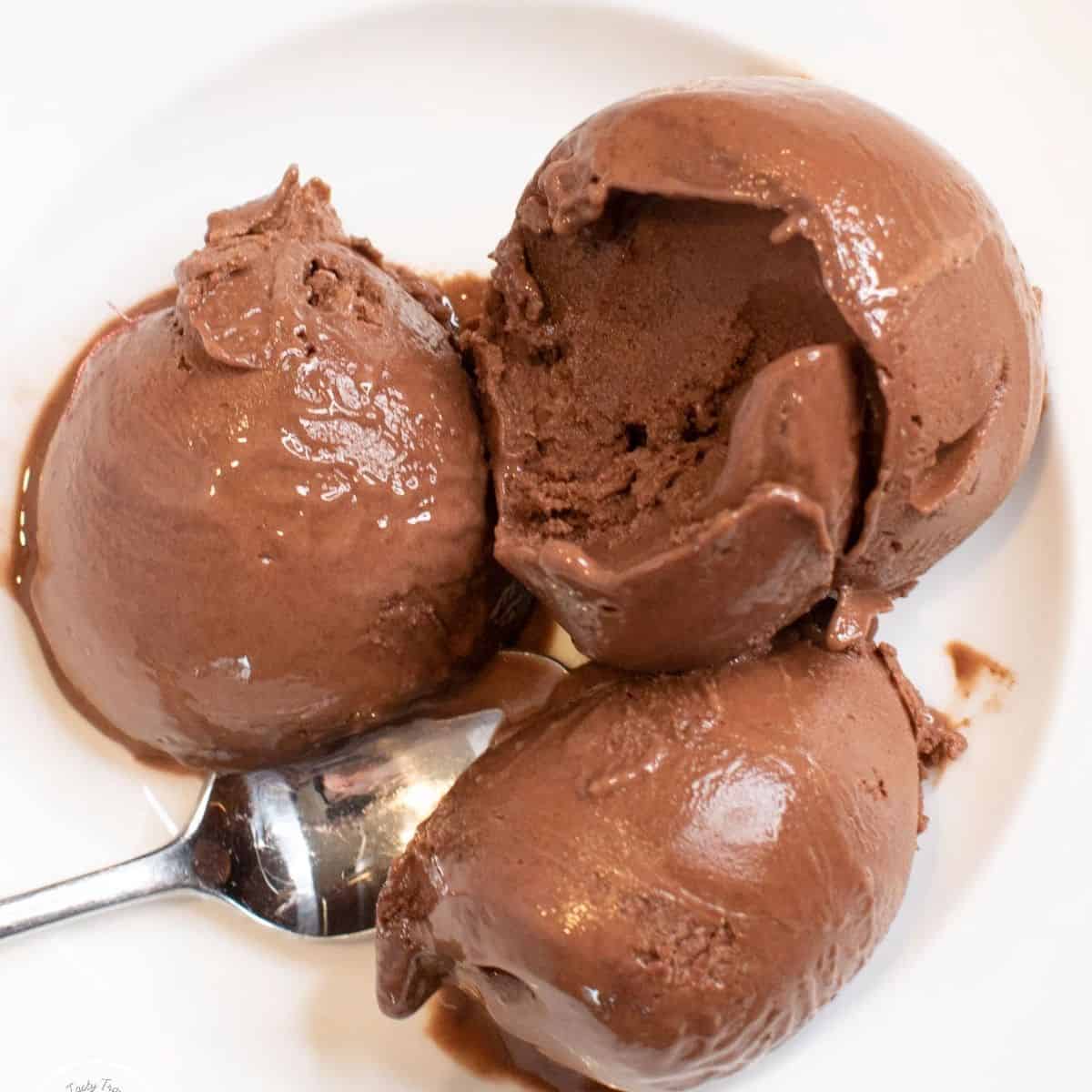 Ninja Creami Mocha Espresso Protein Ice Cream