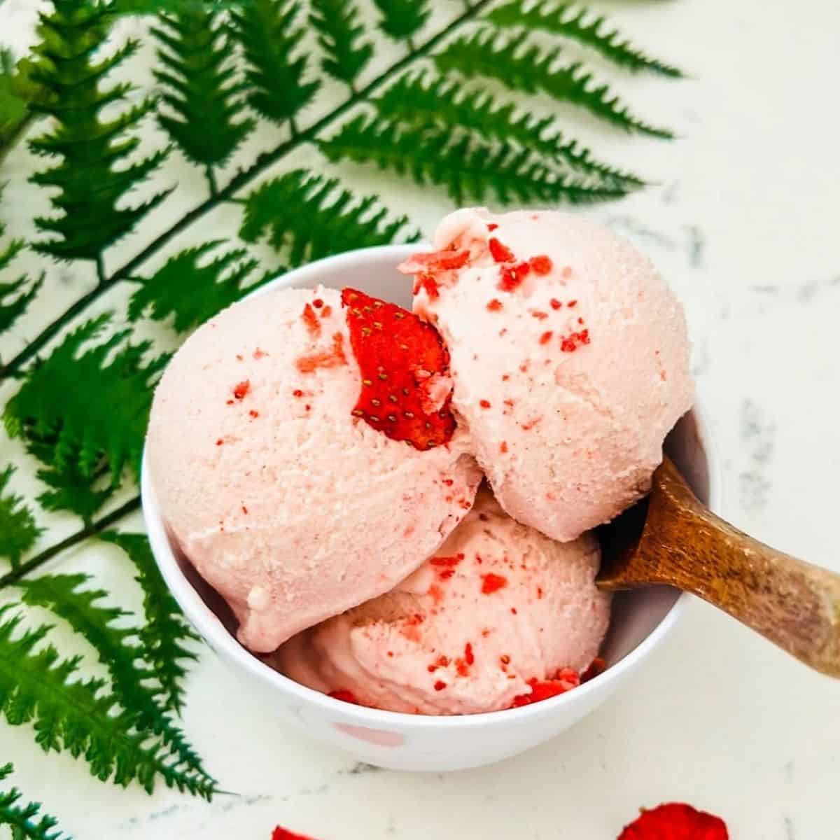 Ninja Creami Strawberry Ice Cream Recipe - Deliciously Rushed