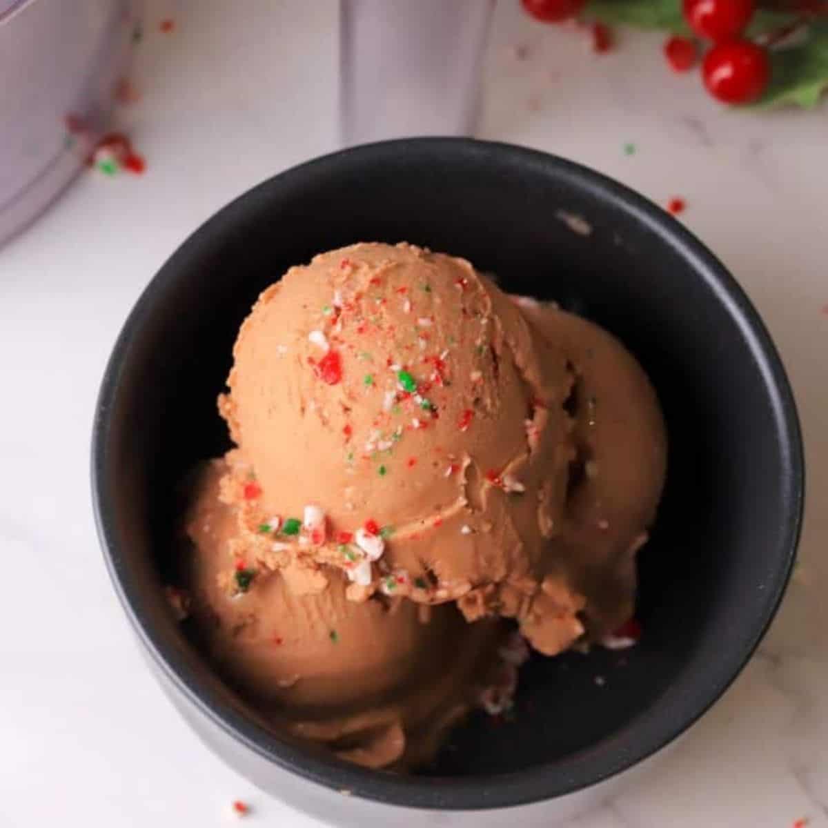 Ninja Creami Sugar Free Peppermint Mocha Ice Cream