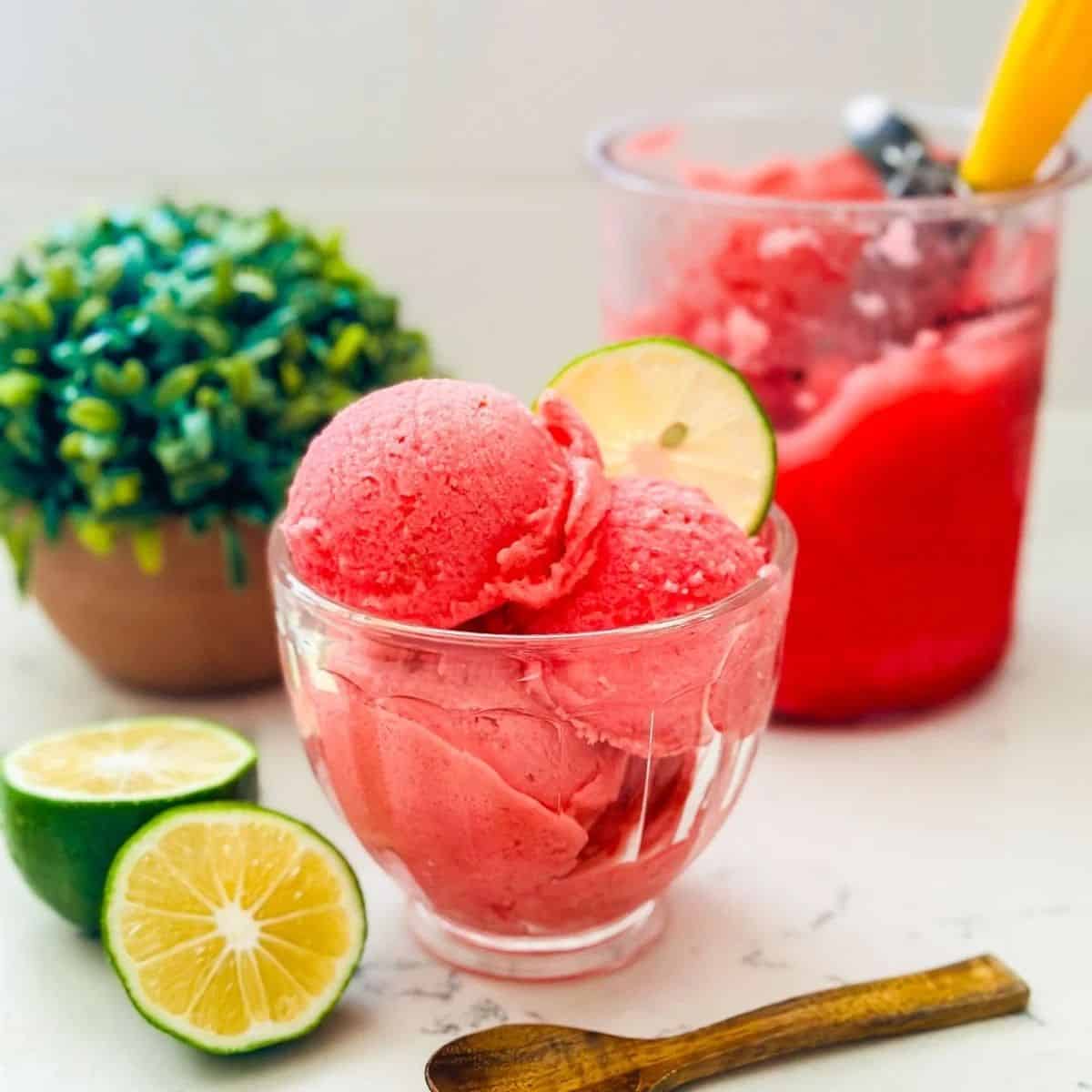 Raspberry Lime Sorbet