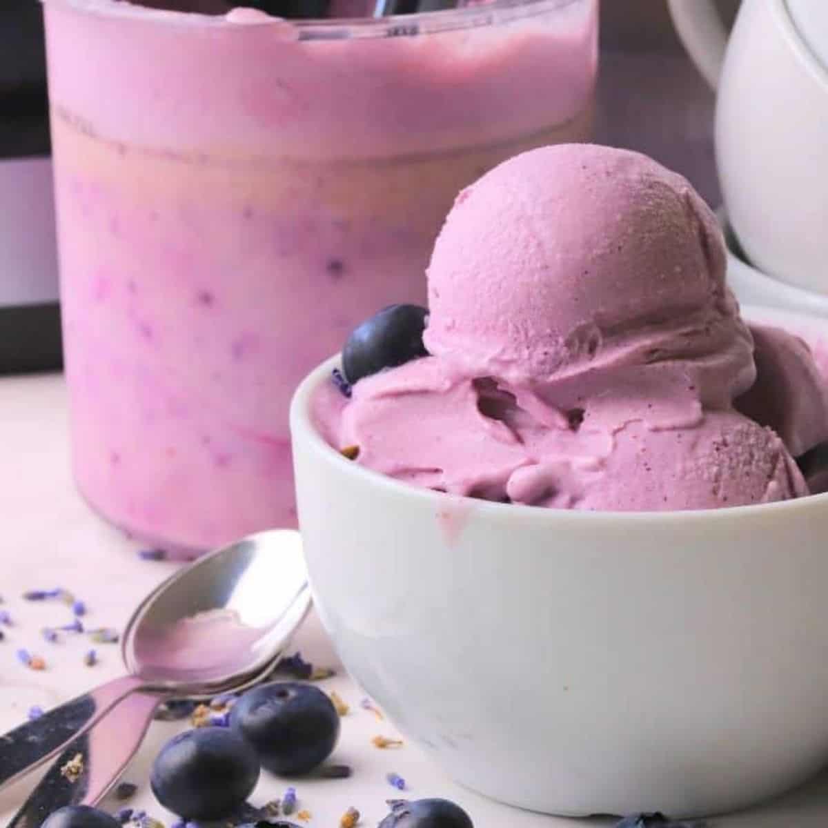 Sugar Free Blueberry Lavender Ice Cream - I Hacked Diabetes