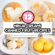 12 Ninja Creami Canned Fruit Recipes (2)