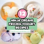 Delicious Ninja Creami frozen yogurt recipes with colorful toppings and flavors.