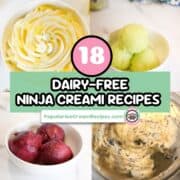 18 Dairy Free Ninja Creami Recipes