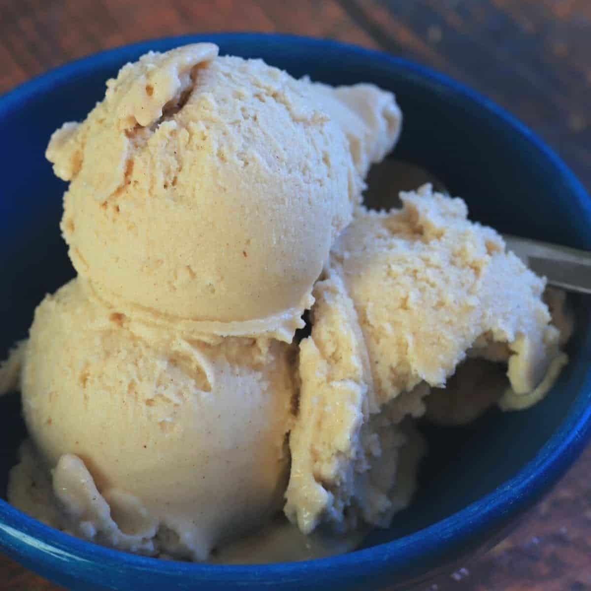 Gingerbread Ice Cream (Ninja Creami)