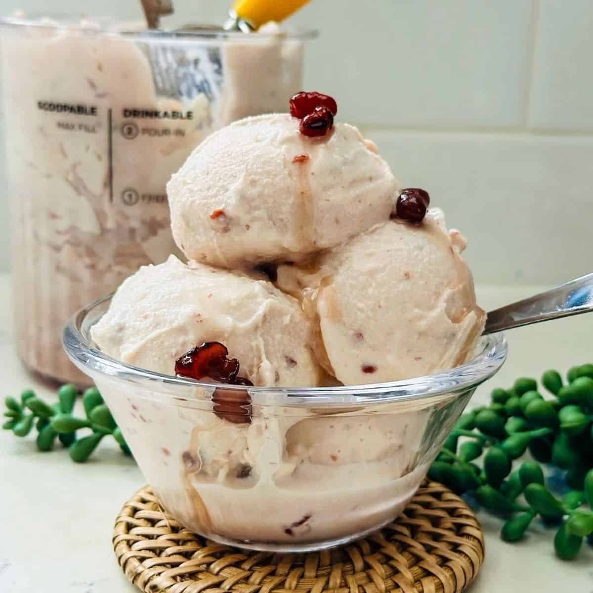 Ninja CREAMi Azuki Red Bean Ice Cream Recipe