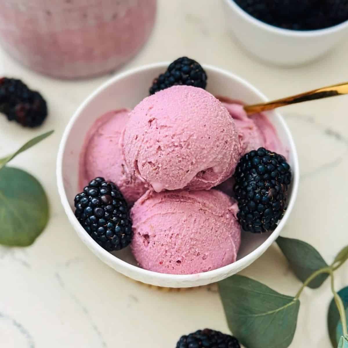 Ninja Creami Blackberry Ice Cream Recipe