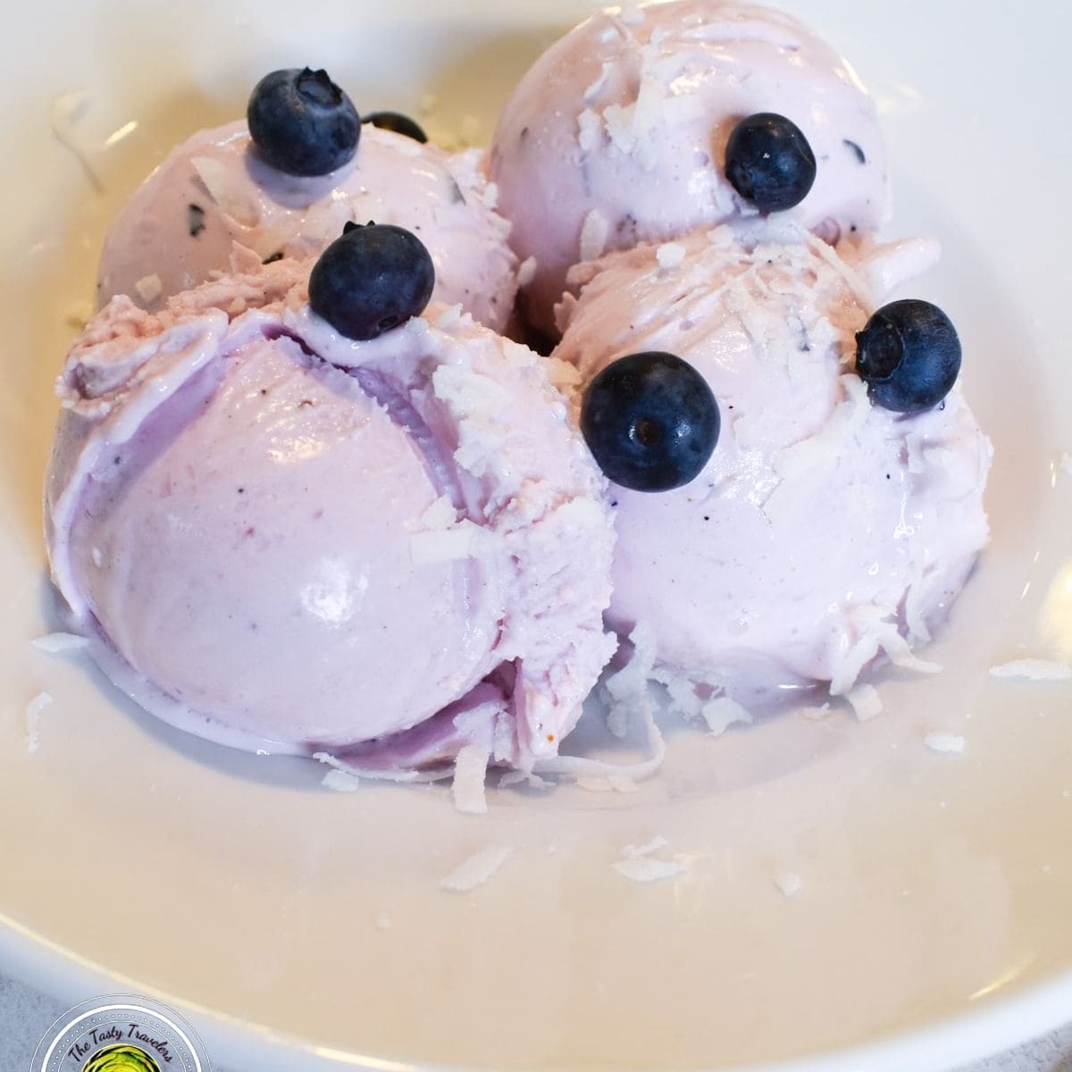 Ninja Creami Blueberry Coconut Frozen Yogurt