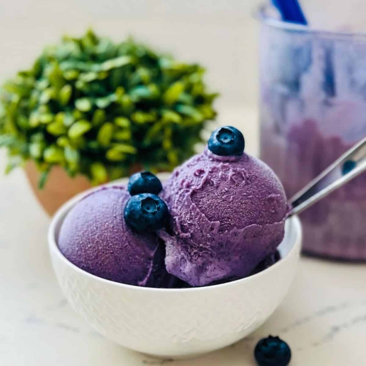 Ninja Creami Blueberry Ice Cream