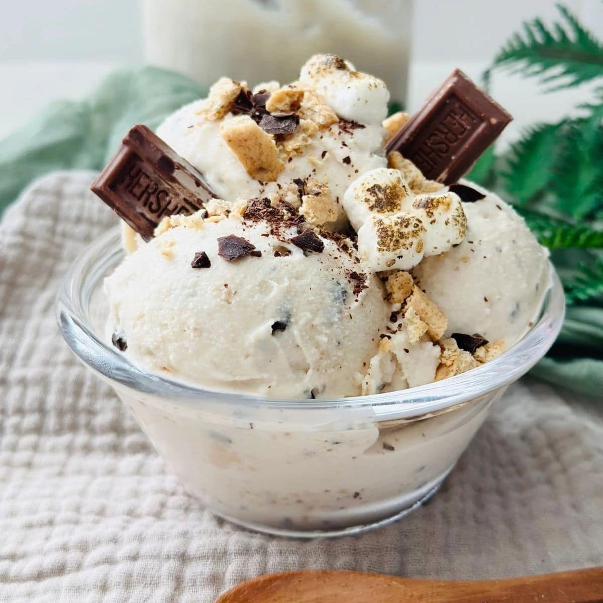 Ninja Creami Campfire S'mores Ice Cream Recipe