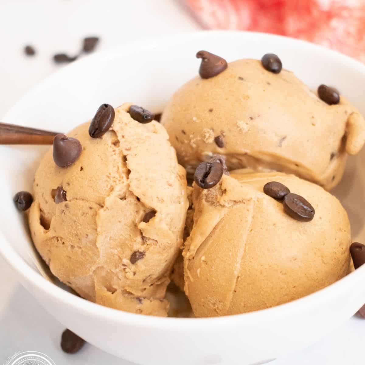 Ninja Creami Caramel White Chocolate Mocha Protein Ice Cream