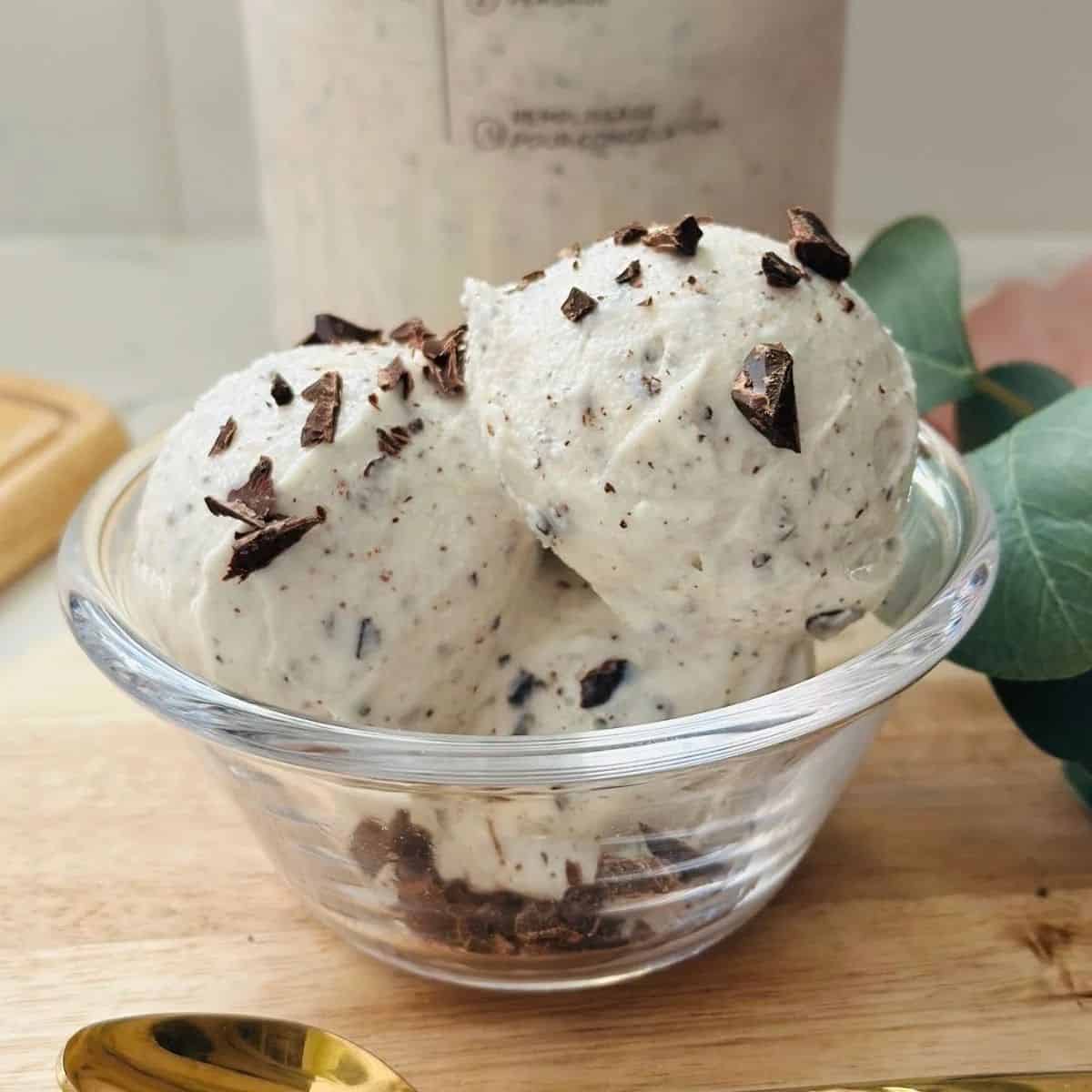 Ninja Creami Chocolate Chip Ice Cream Recipe