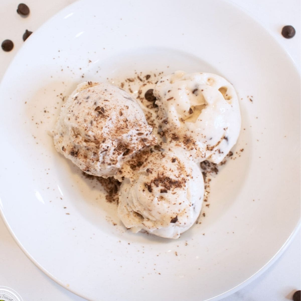 Ninja Creami Chocolate Chip Protein Frozen Yogurt