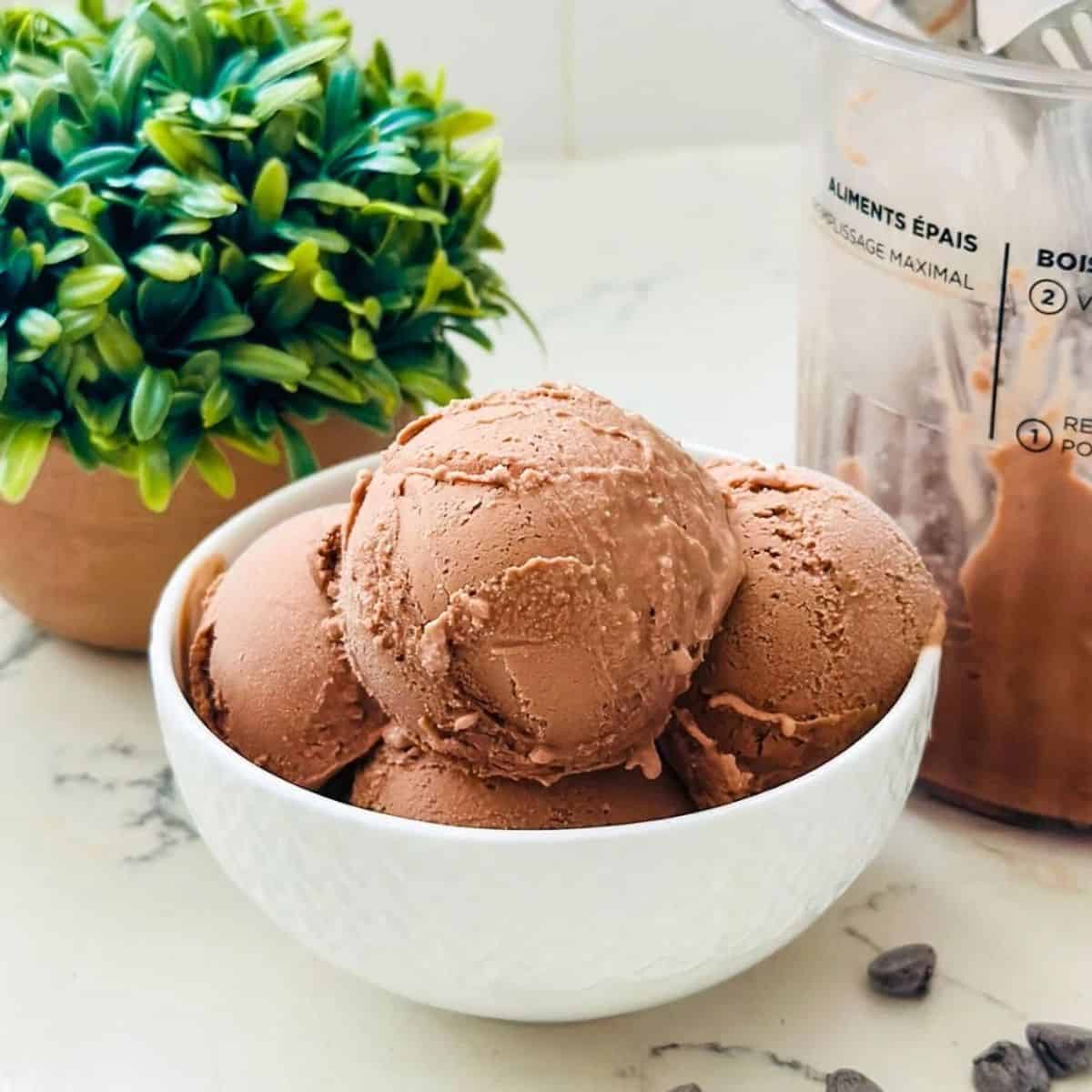 Ninja Creami Chocolate Ice Cream Recipe