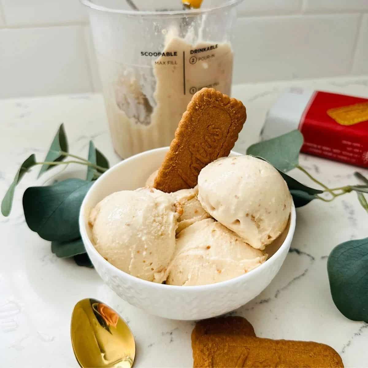 Ninja Creami Cookie Butter Ice Cream Recipe