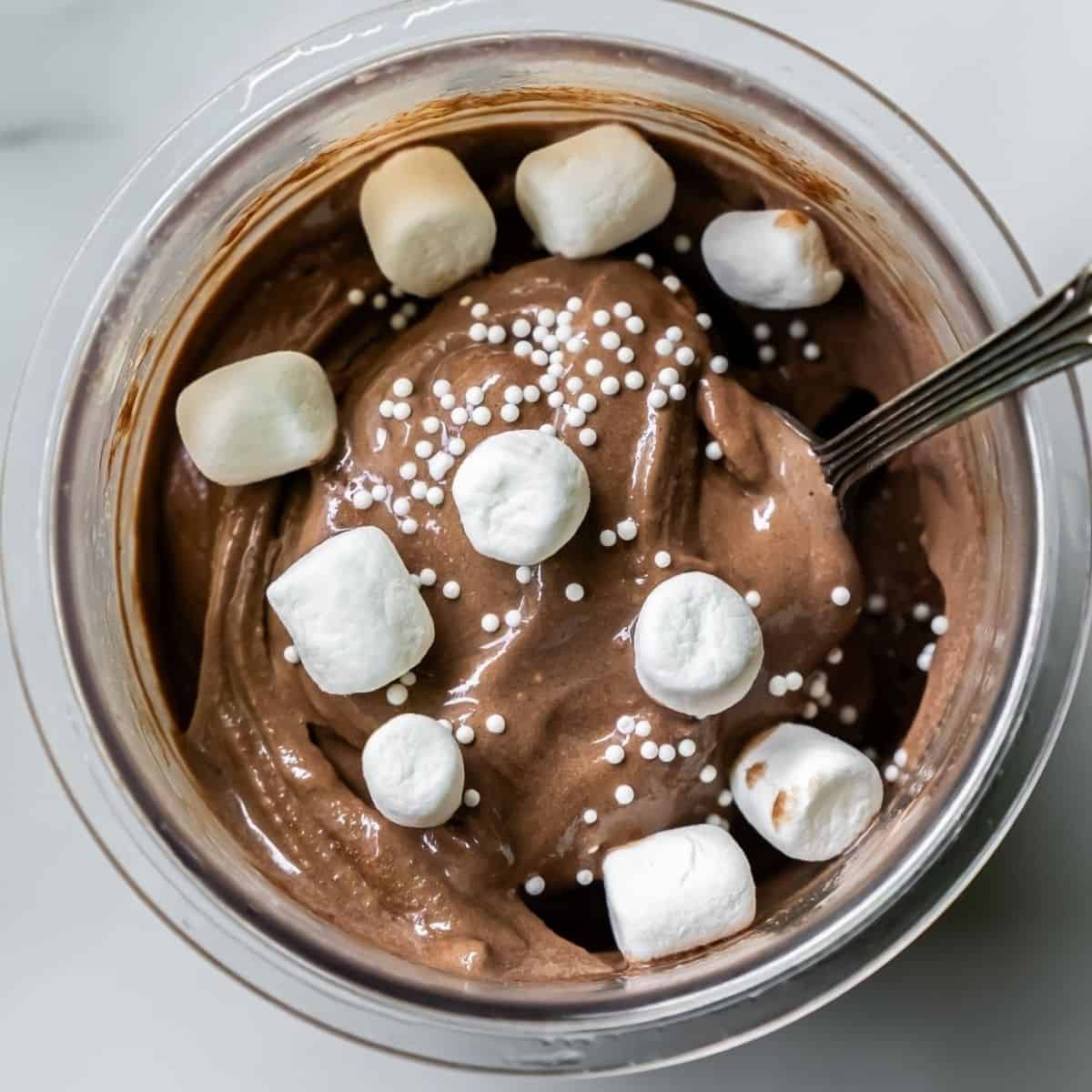 Ninja Creami Dark Chocolate Protein Ice Cream