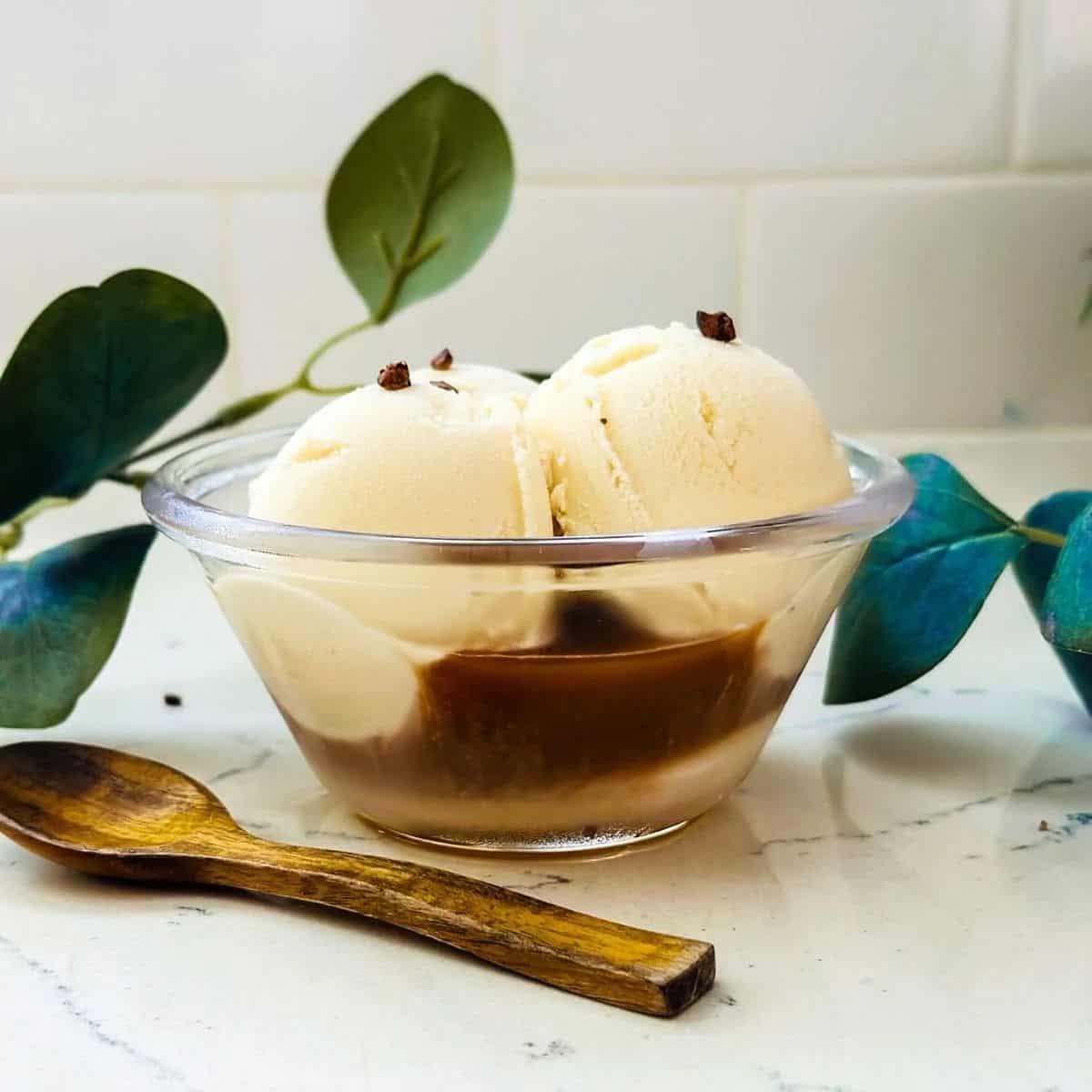Ninja Creami Italian Affogato Ice Cream Recipe