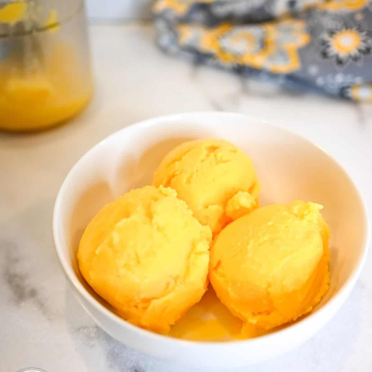 Ninja Creami Mandarin Orange Sherbet-Low Calorie