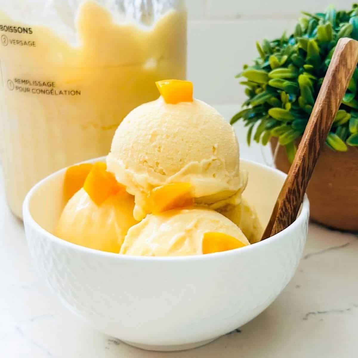 Ninja Creami Peach and Cream Ice Cream