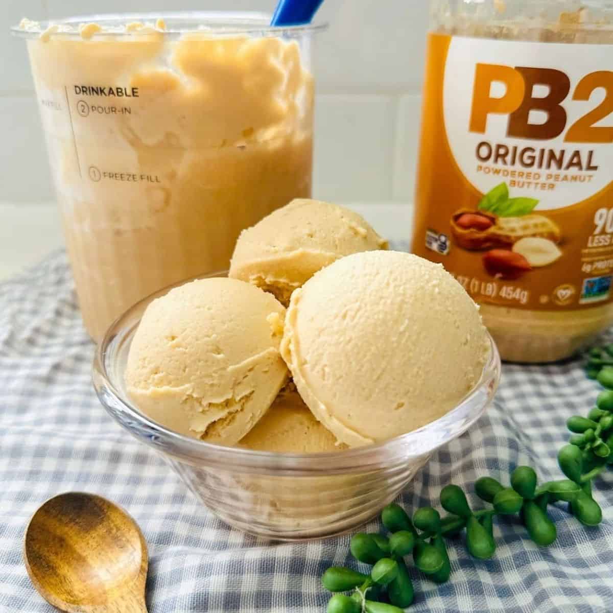 Ninja Creami Peanut Butter Protein Ice Cream Recipe