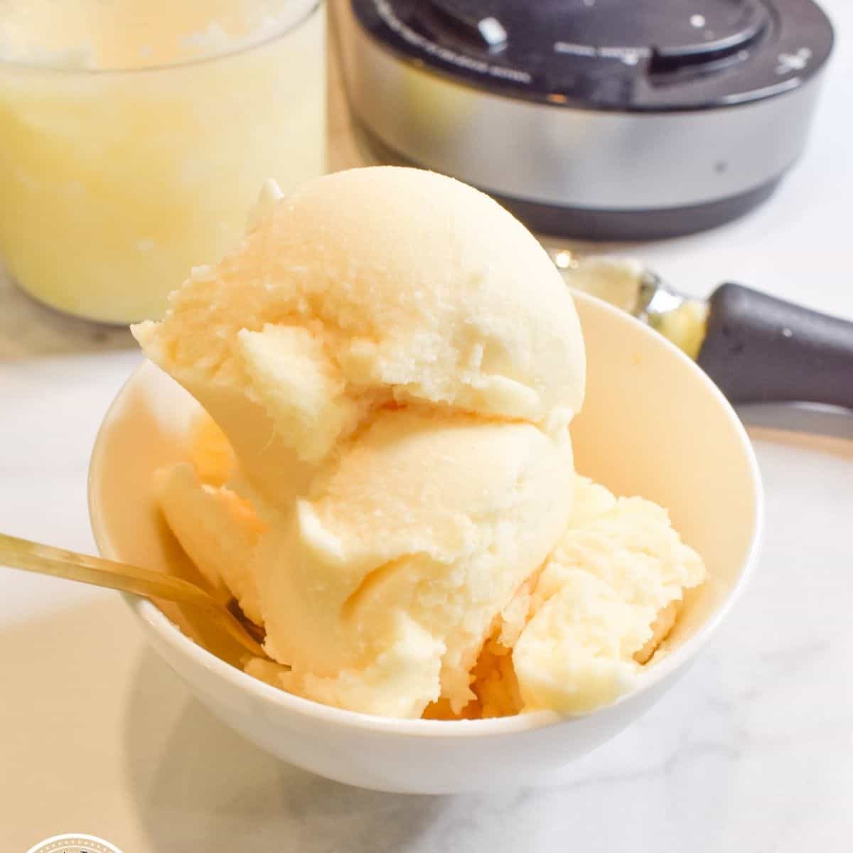 Ninja Creami Pineapple Sorbet (2)