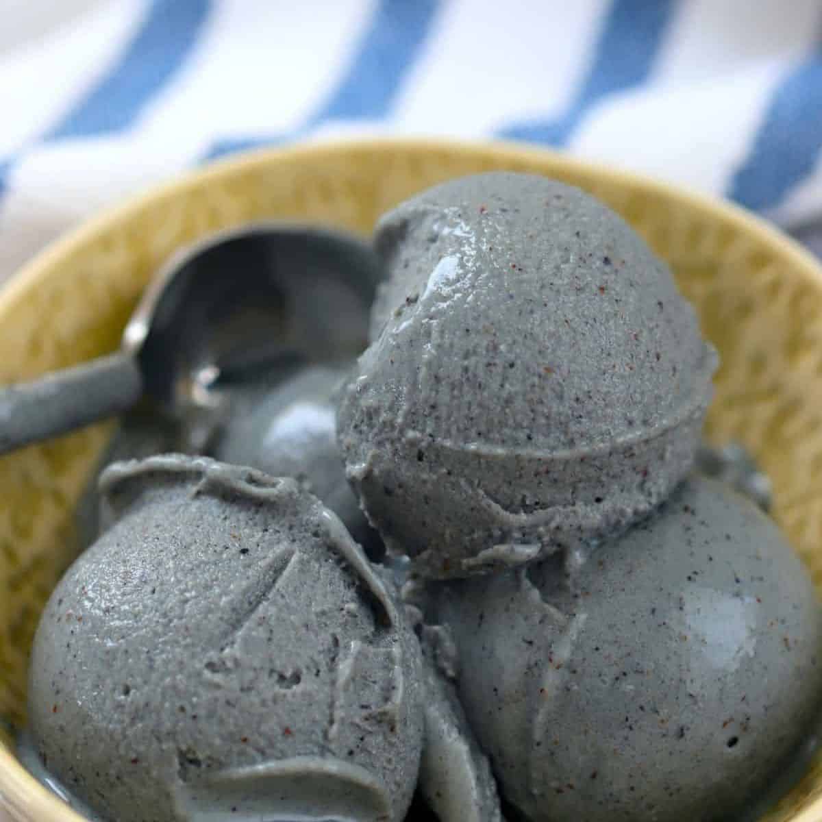 Ninja Creami Recipe (Low Carb Blueberry)