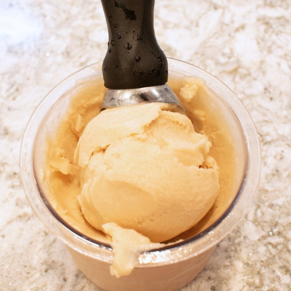 Ninja Creami SCOOPABLE Nutter Butter Protein Ice Cream