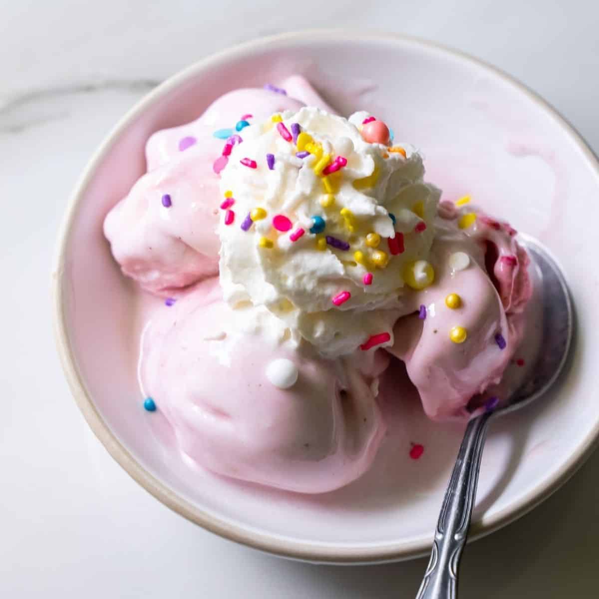 Ninja Creami Strawberry Ice Cream