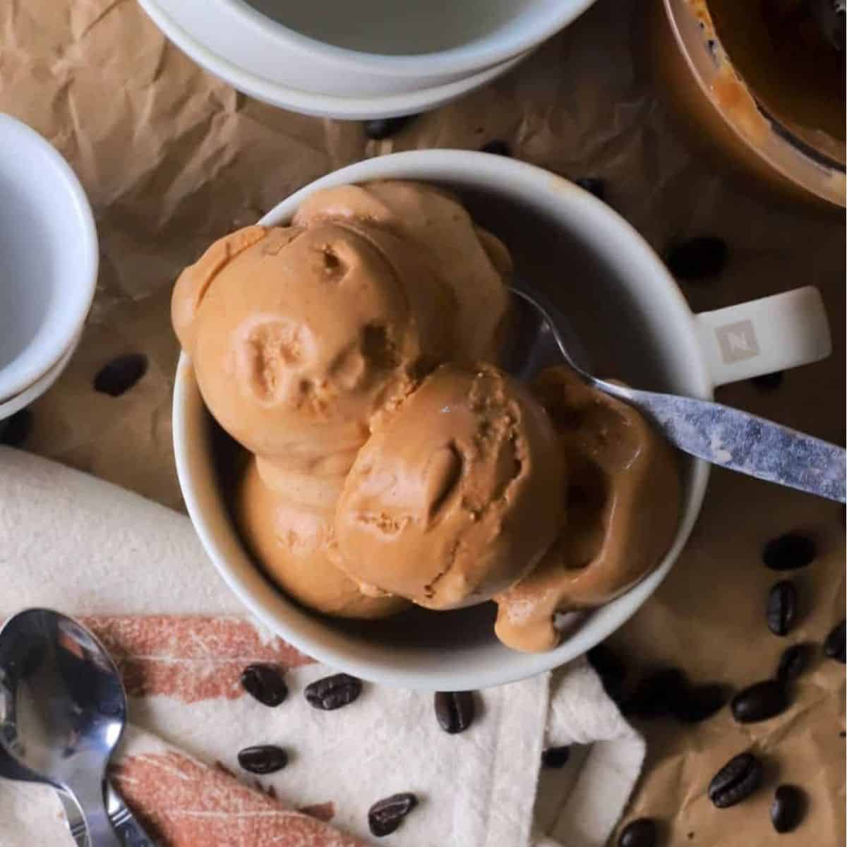 Ninja Creami Sugar Free Ice Cream Coffee