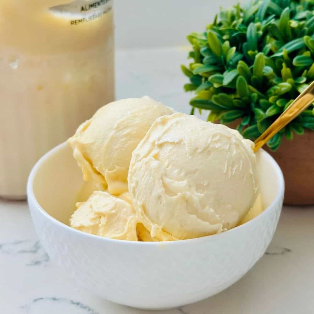 Ninja Creami Sweet Corn Ice Cream