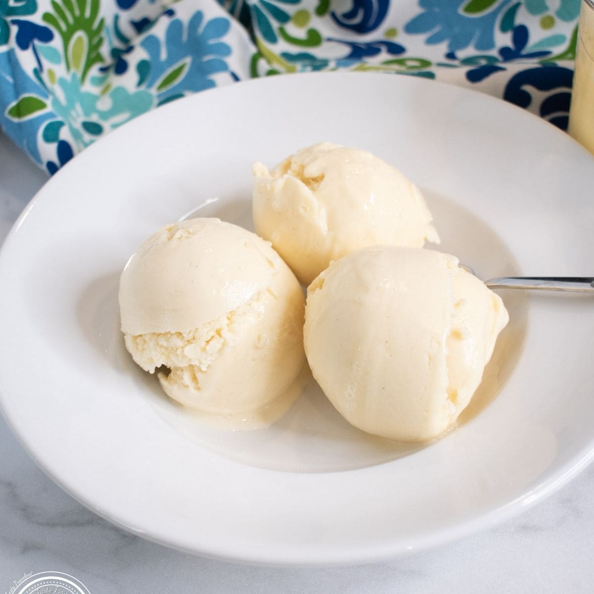 Ninja Creami Vanilla Bean Protein Ice Cream