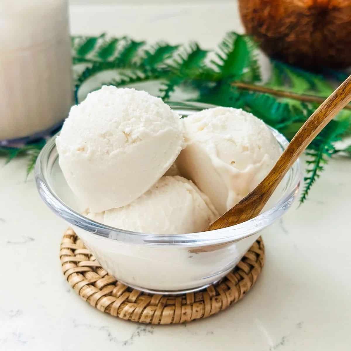 Ninja Creami Vanilla Coconut Ice Cream Recipe (Dairy Free)