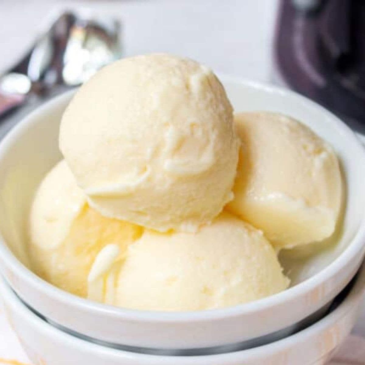 Ninja Creami Vanilla Protein Ice Cream