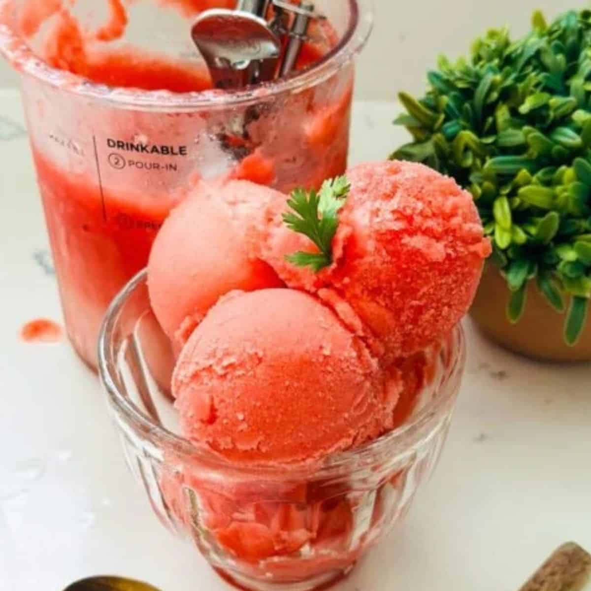Ninja Creami Watermelon Sorbet