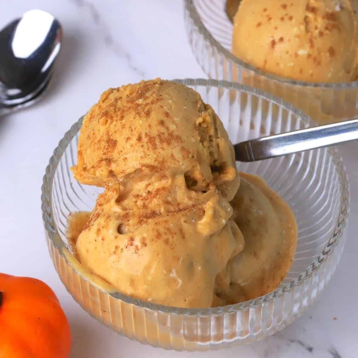 Sugar-Free Pumpkin Spice Chai Ice Cream (Ninja Creami Recipe)
