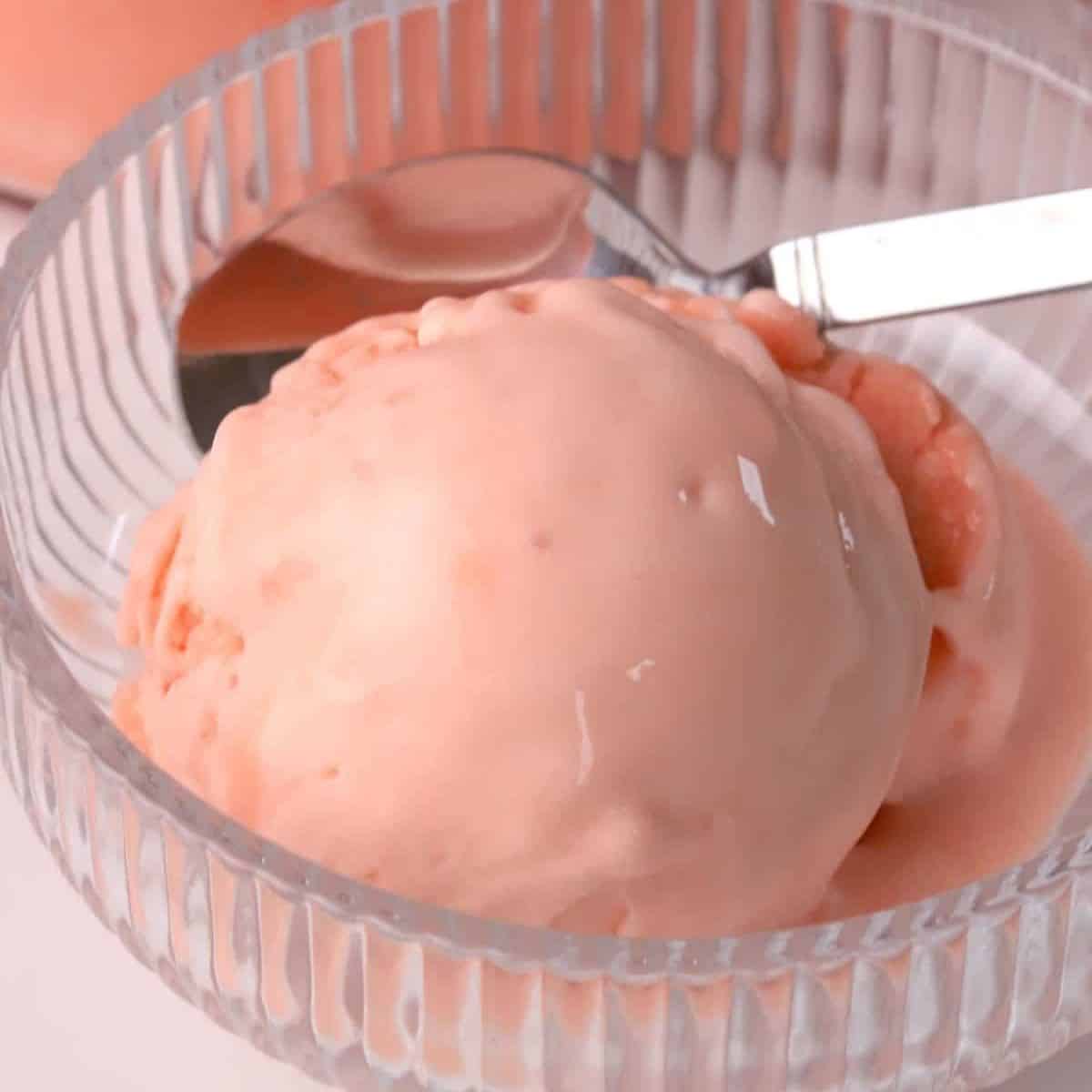 Sugar Free Watermelon Ice Cream (Ninja Creami)