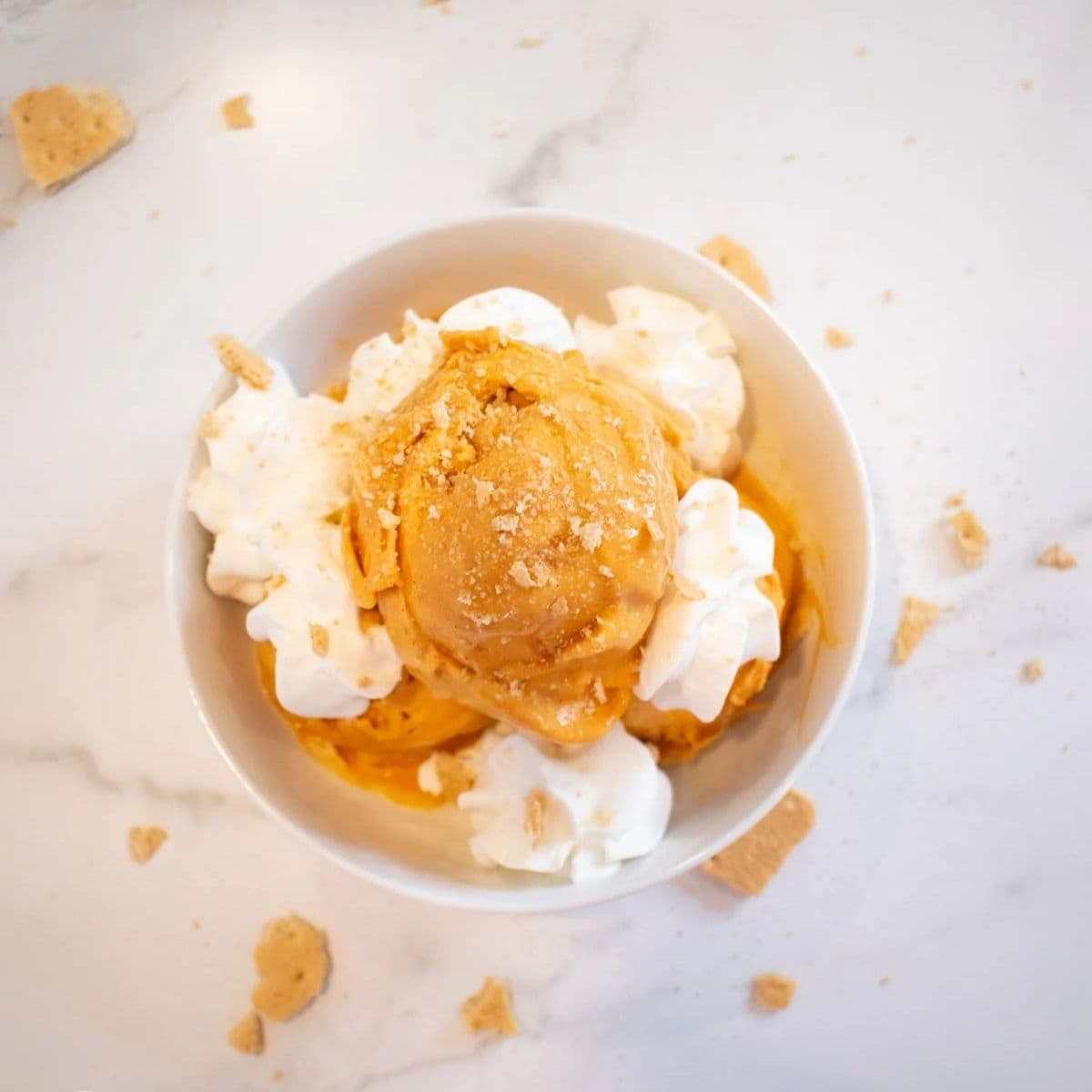 Ninja Creami Pumpkin Pie Protein Ice Cream