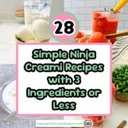 28 simple ninja creami 3 ingredient recipes for easy frozen treats