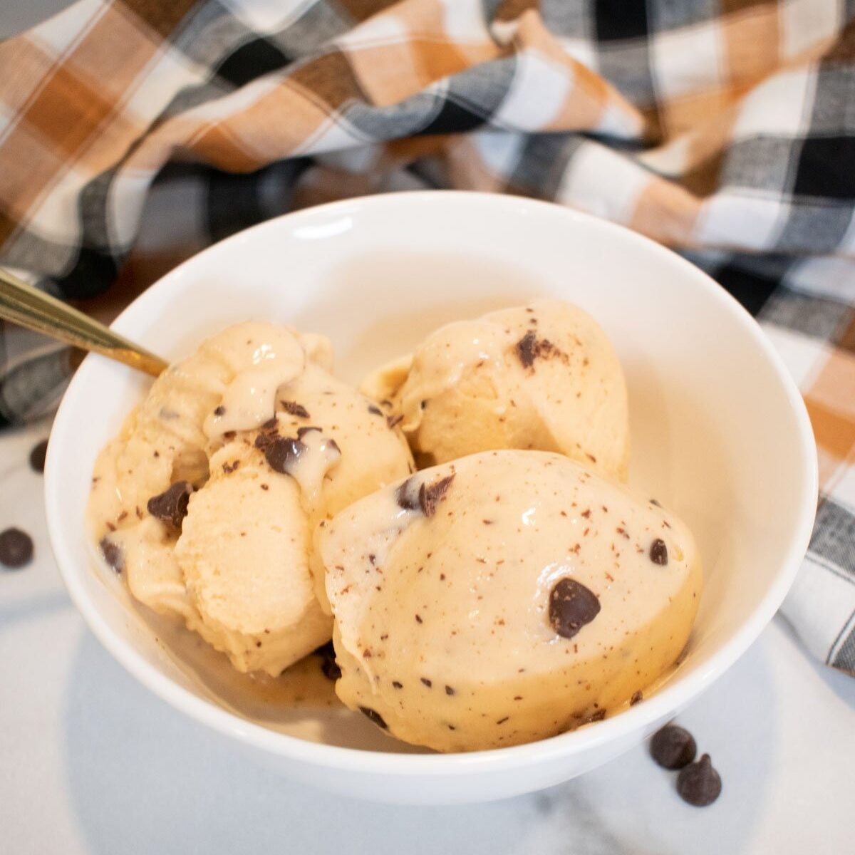 Delicious homemade protein ice cream with chocolate chips in a white bowl.
