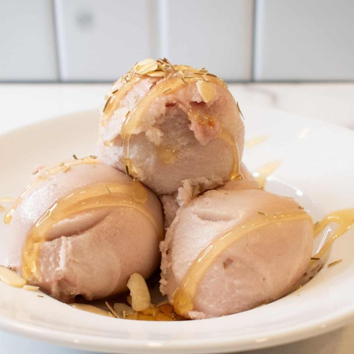 Ninja Creami The Old Goat Ice Cream