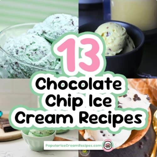 Assorted chocolate chip ice cream scoops in bowls and cones.