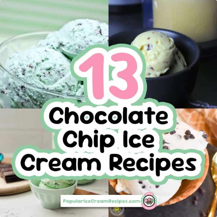 Assorted chocolate chip ice cream scoops in bowls and cones.