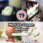 Delicious mint ice cream varieties with toppings and flavors.